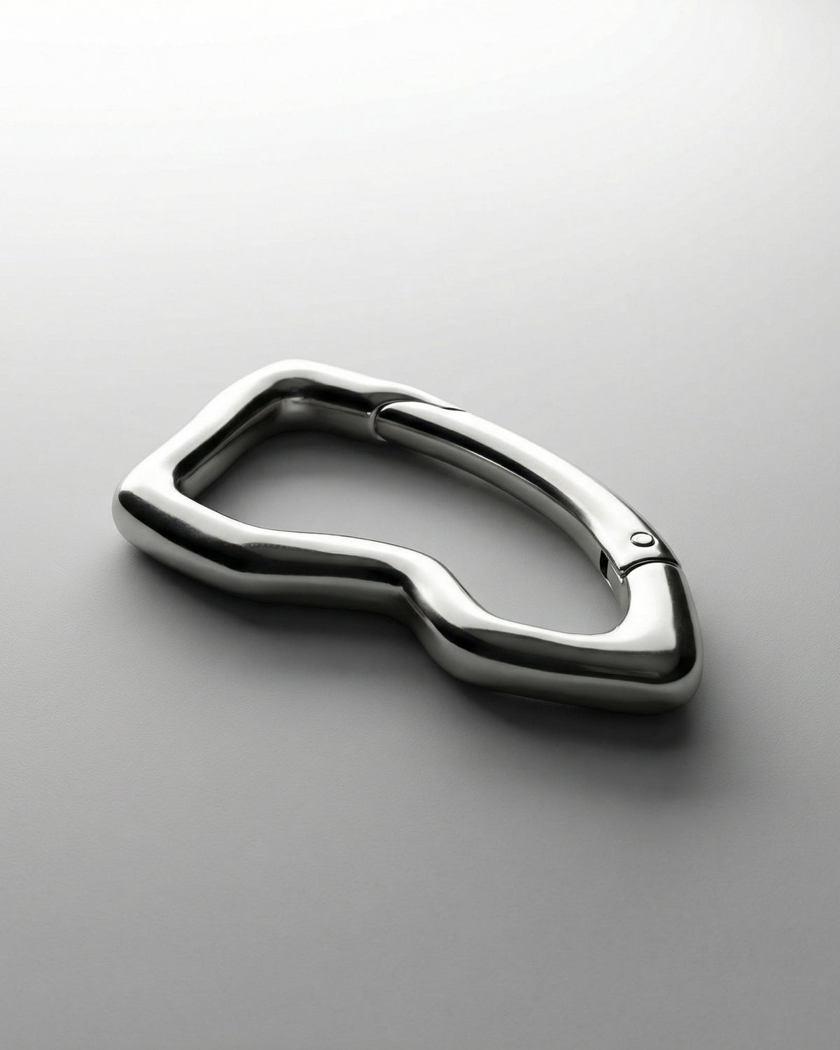 Close-up of the silver Billie Carabiner Keychain showing the polished spring clip